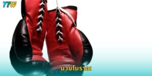 มวยโบราณ 77w แทงมวยไทยแบบดั้งเดิมมันส์สุดๆ