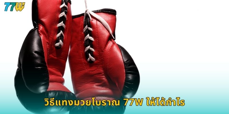มวยโบราณ 77w แทงมวยไทยแบบดั้งเดิมมันส์สุดๆ 1 วิธีแทงมวยโบราณ 77w ให้ได้กำไร