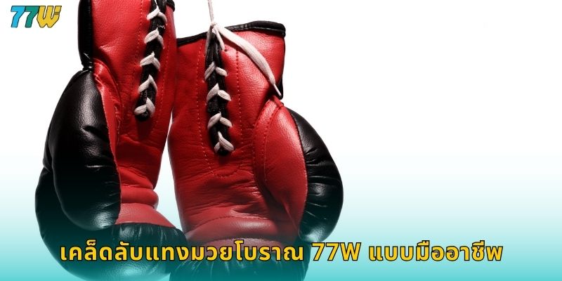 มวยโบราณ 77w แทงมวยไทยแบบดั้งเดิมมันส์สุดๆ 2 เคล็ดลับแทงมวยโบราณ 77w แบบมืออาชีพ